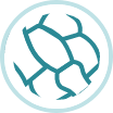 service icon separator